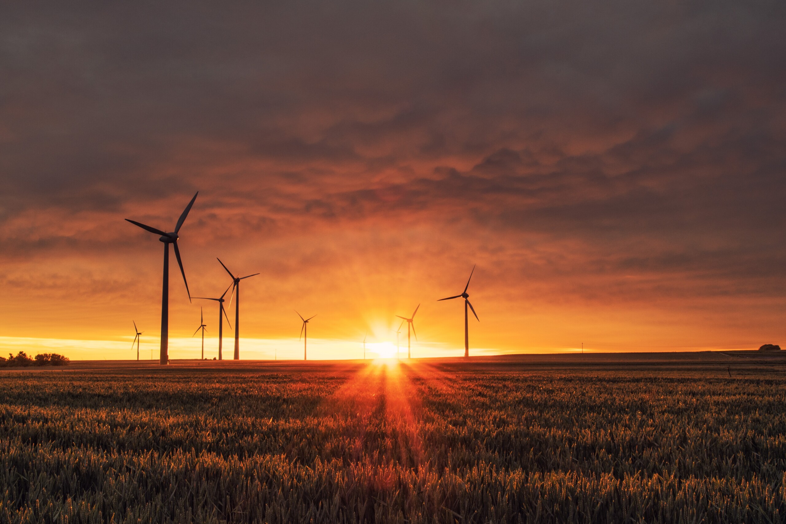 Sunset Turbines